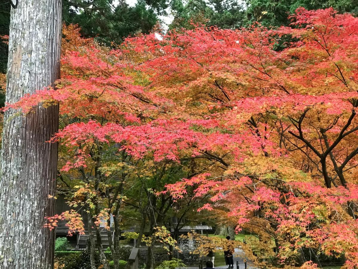 Ohara Sensui Surrounded By Beautiful Nature Villa Kyoto Exterior photo