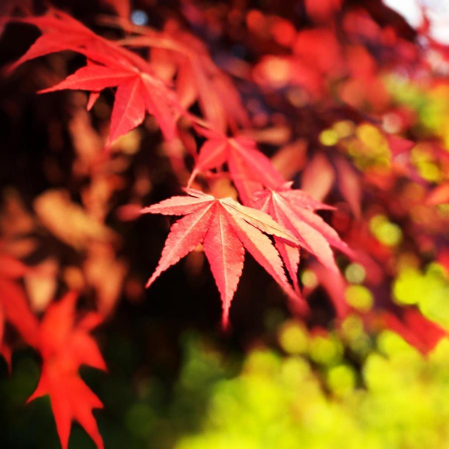 Ohara Sensui Surrounded By Beautiful Nature Villa Kyoto Exterior photo